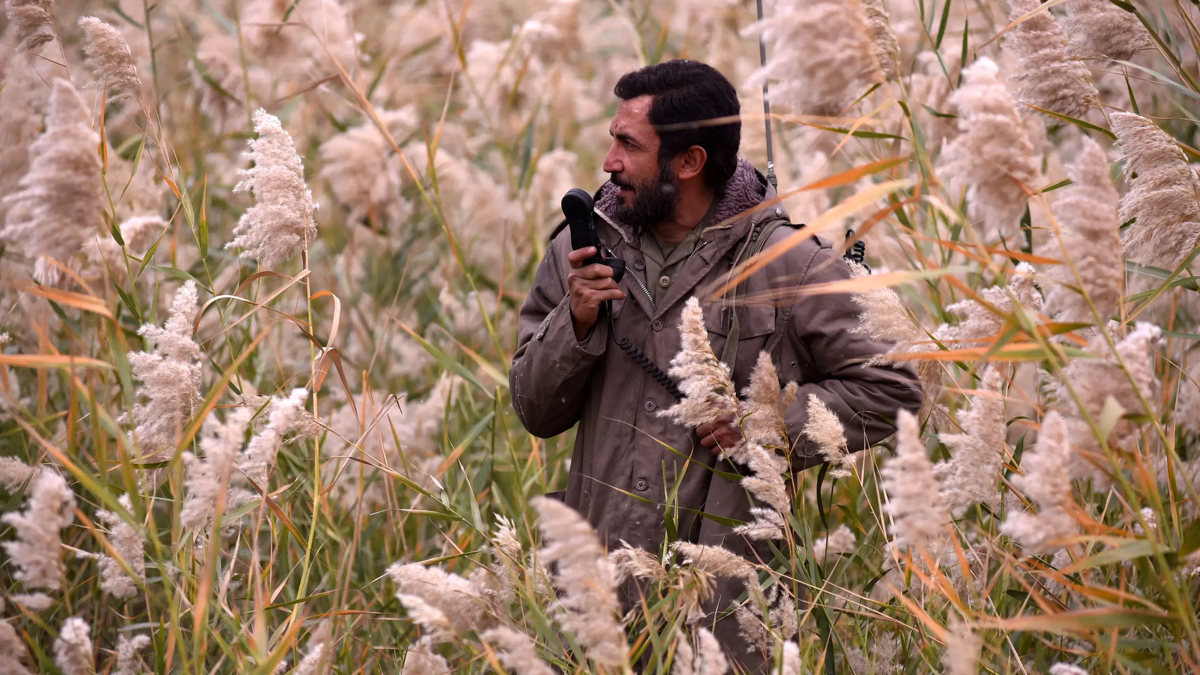 موقعیت مهدی
