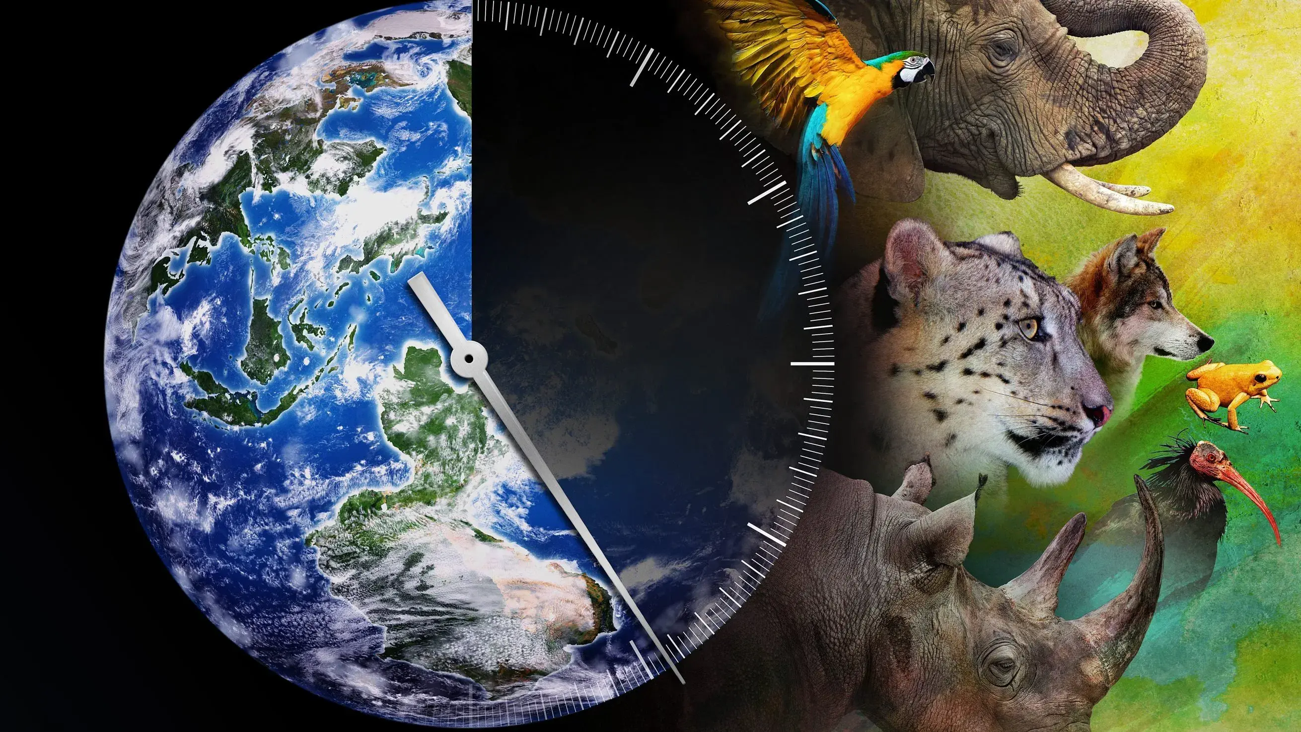 Corrida Contra a Extinção