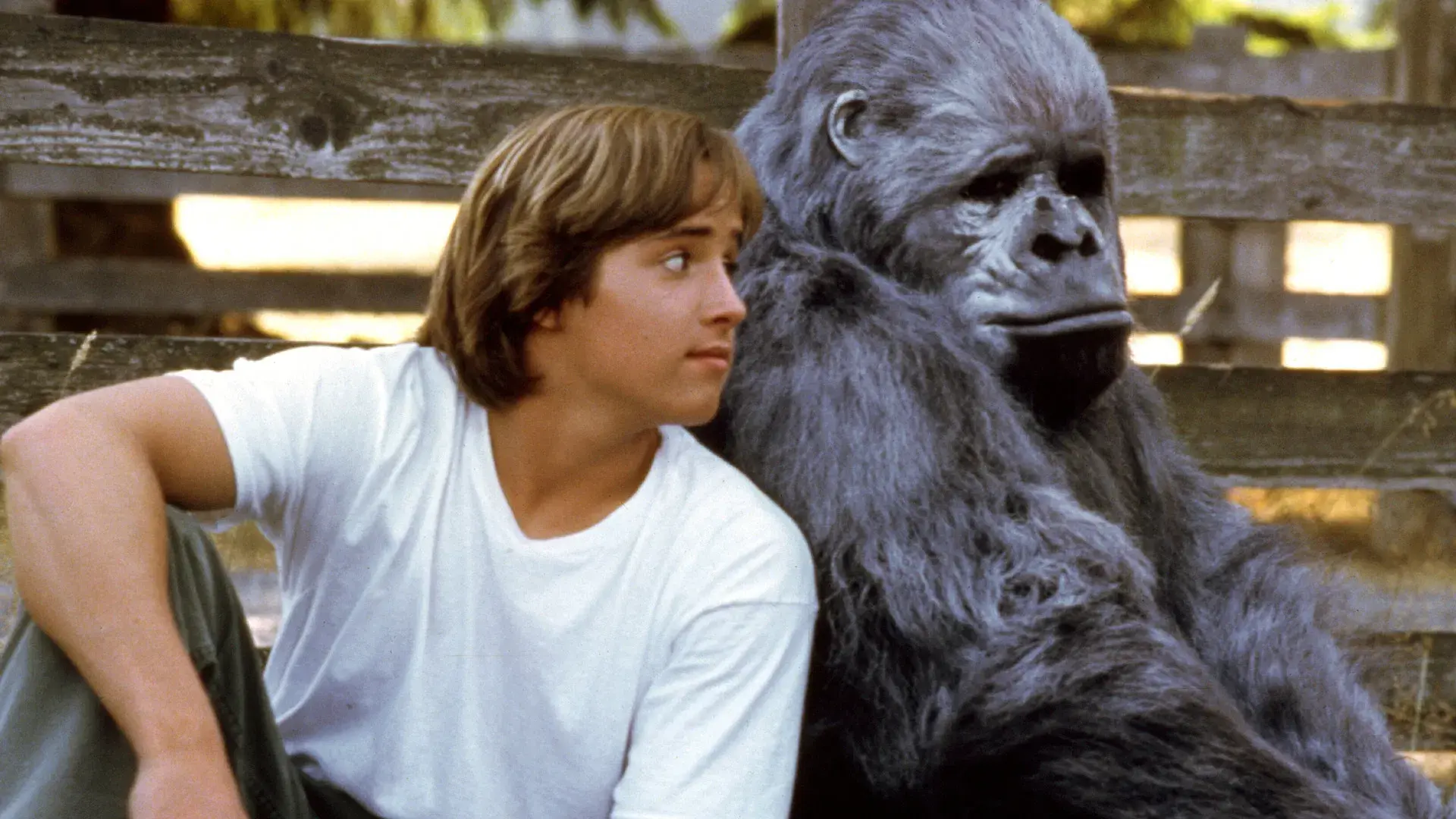 Katie - Uma Garota da Pesada