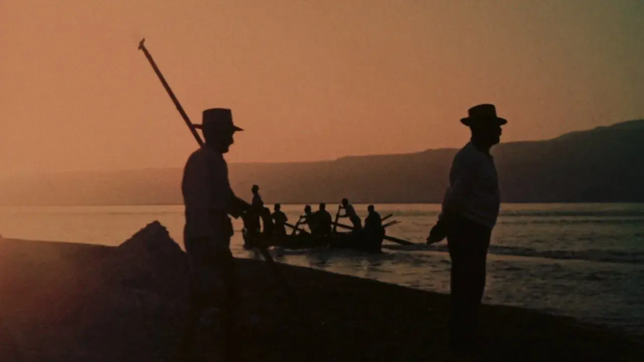 A Temporada do Peixe-Espada