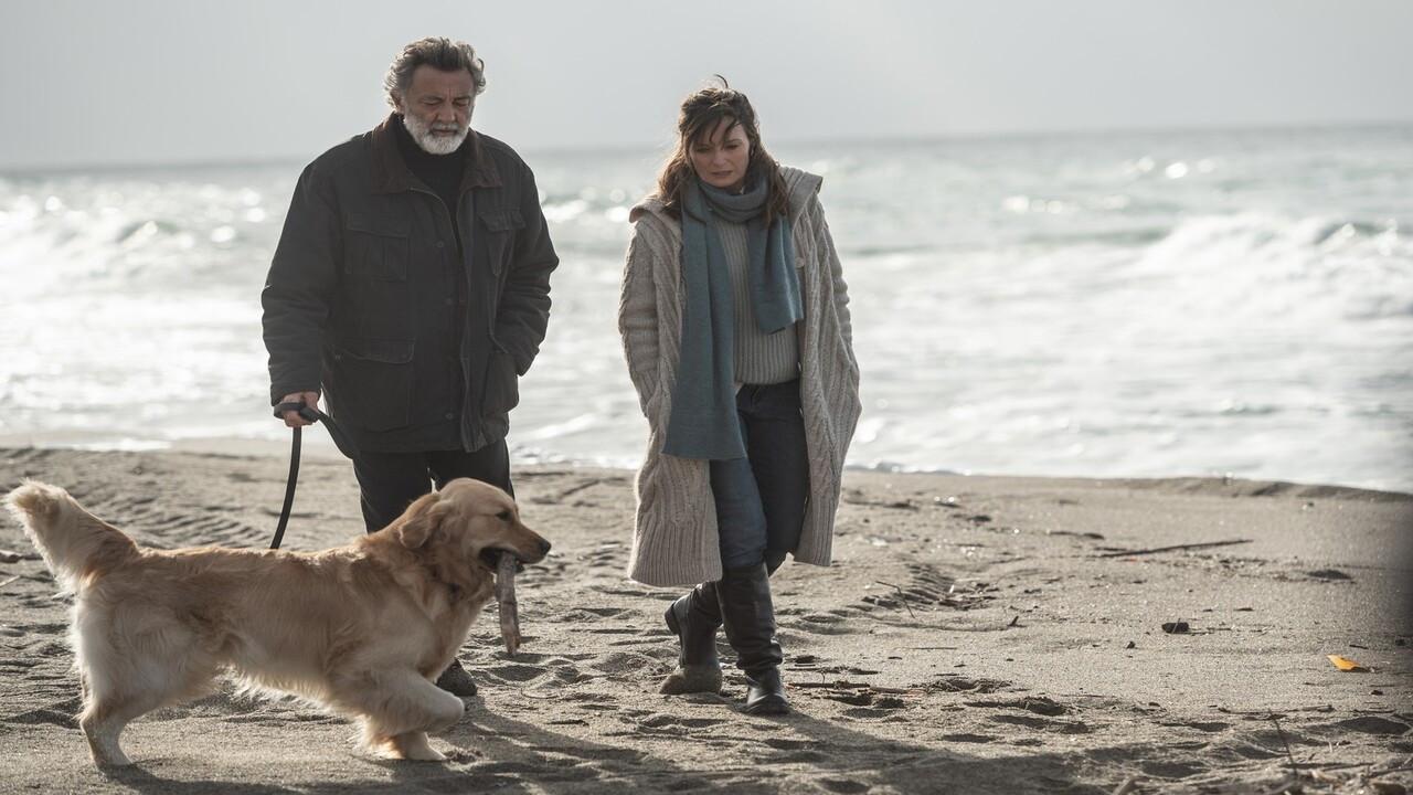 The Penitent: A Rational Man