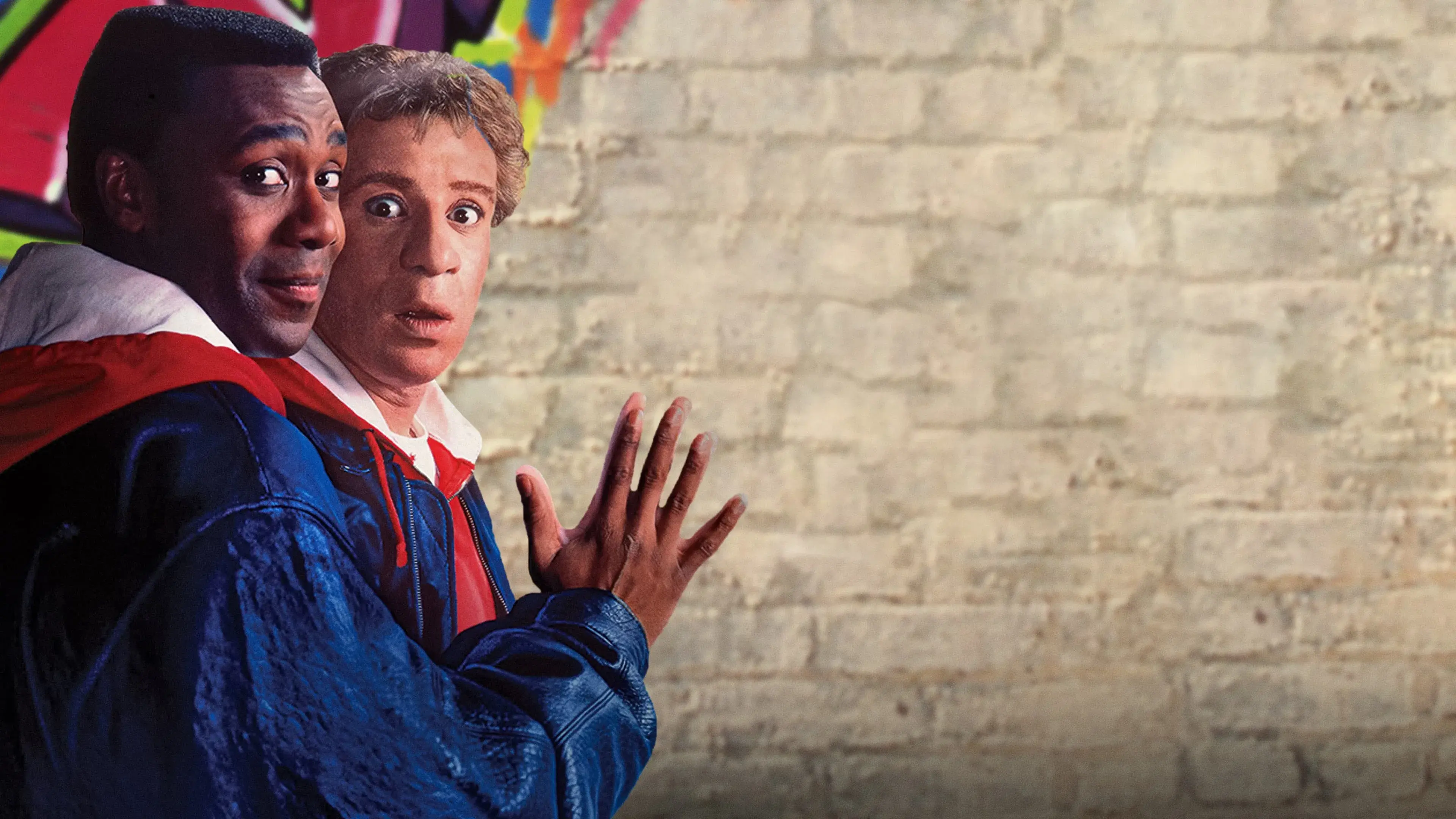 Cara de Um, Focinho de Outros