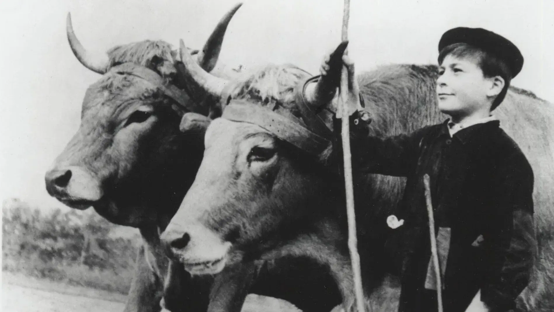 Farrebique ou les Quatre Saisons