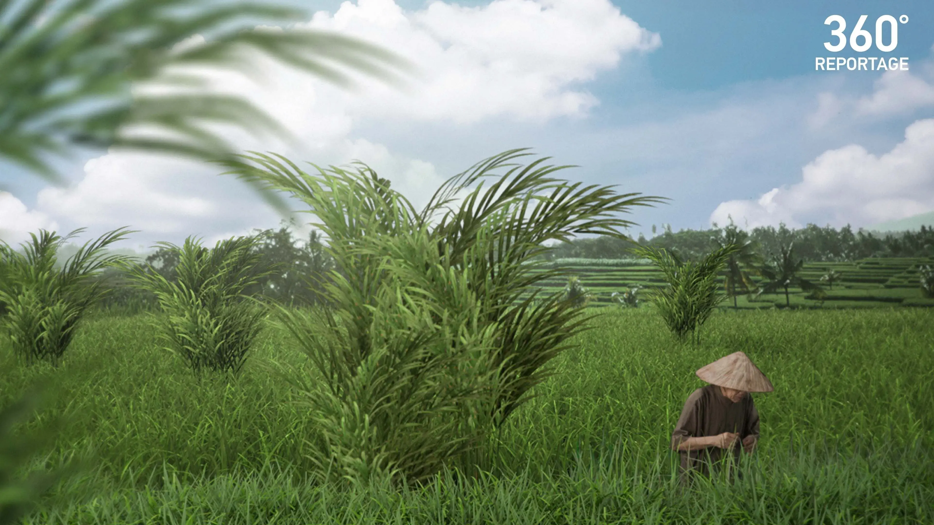 ARTE 360° Reportage