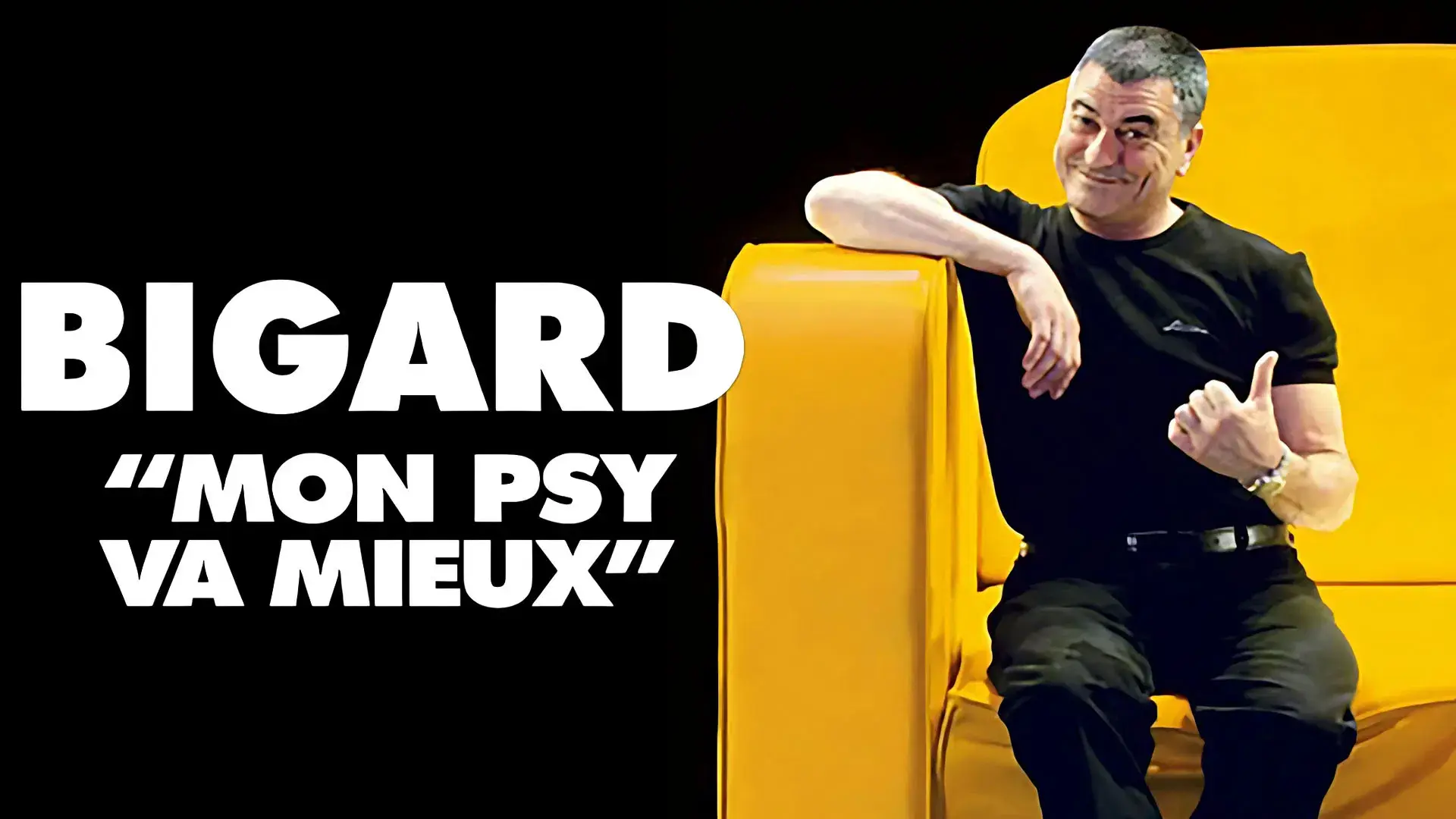 Bigard - Mon Psy Va Mieux