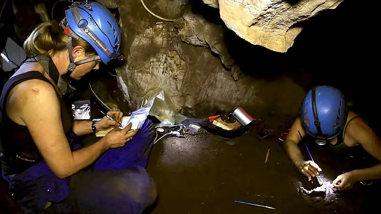 A Origem da Humanidade