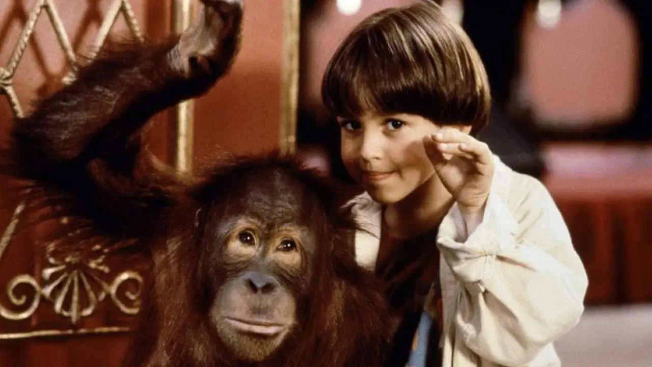 O Hóspede Quer Bananas