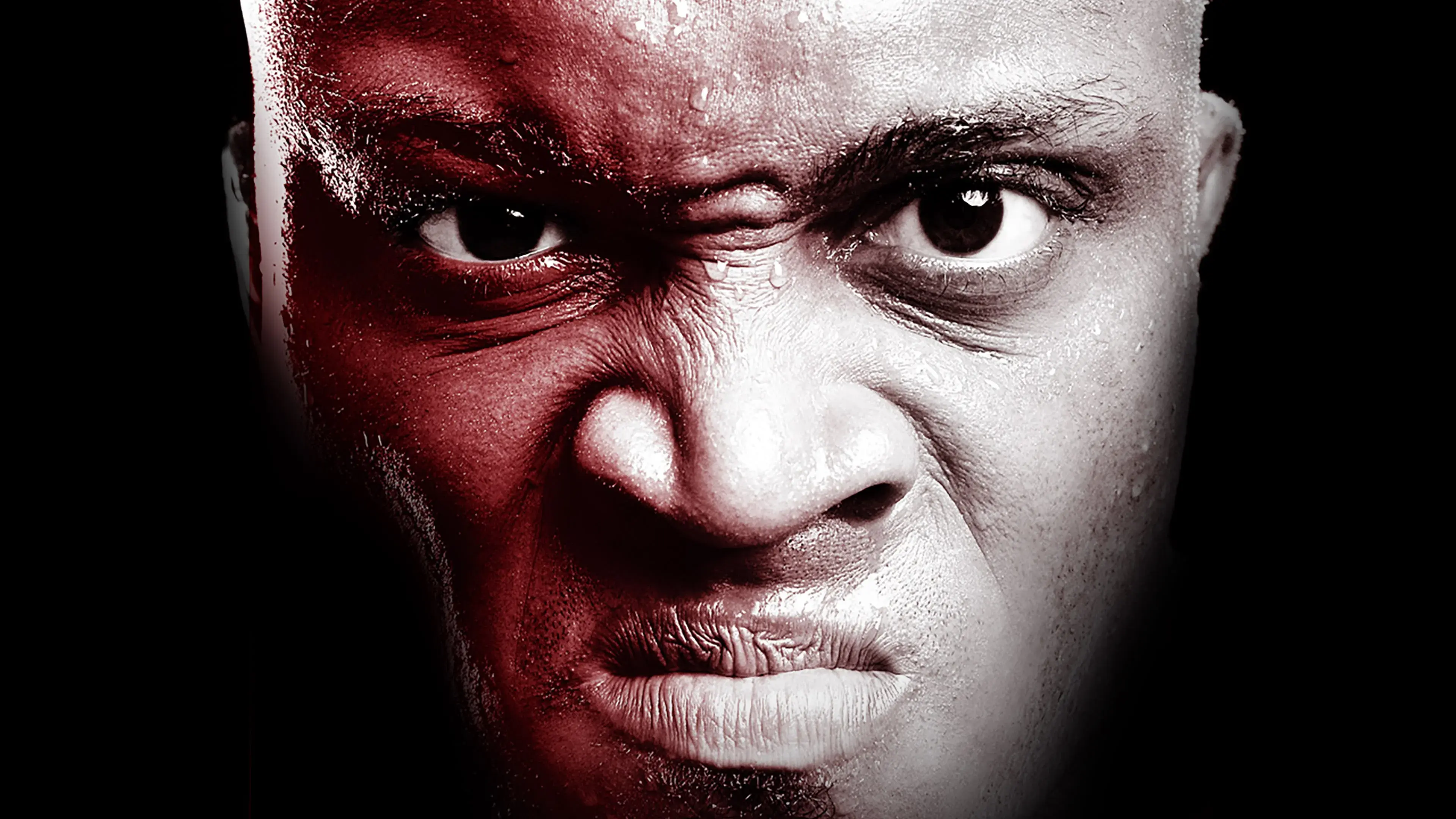 WWE One Night Stand 2007