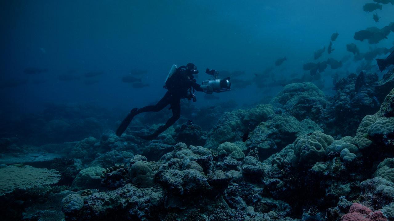 A Terra à Noite: Visão Noturna