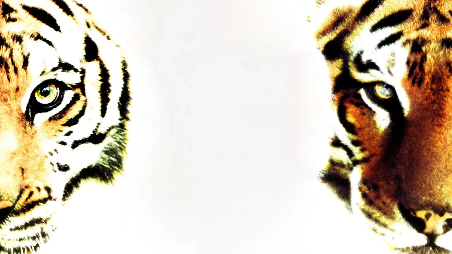 Era Uma Vez Dois Irmãos