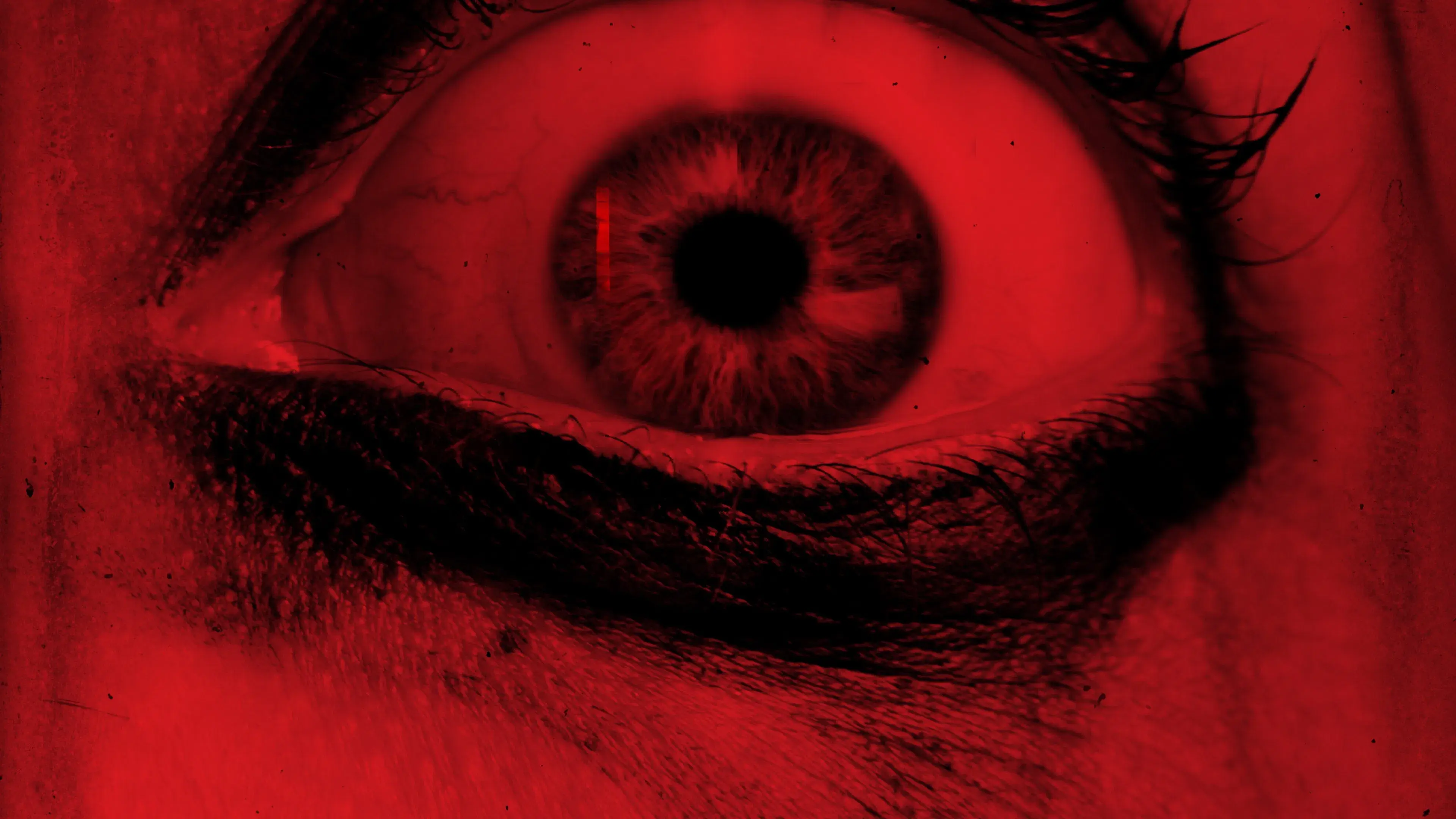 Terror entre Quatro Paredes