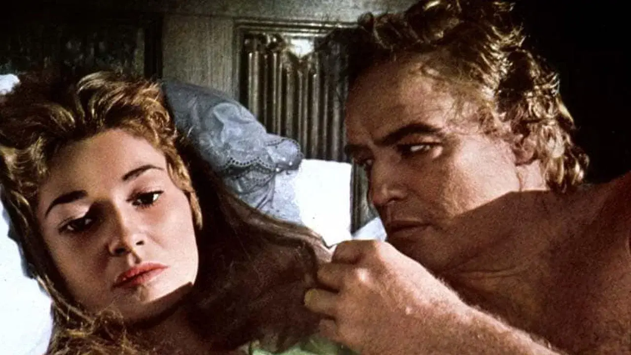 Os Que Chegam com a Noite