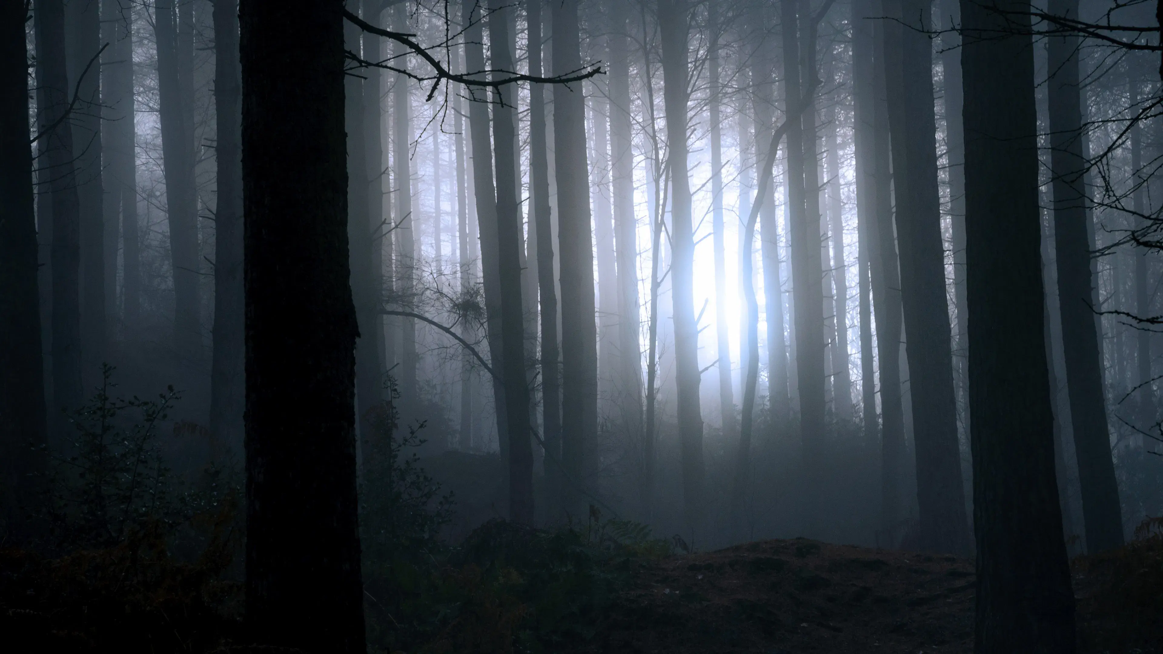 Em Busca do Pé-grande