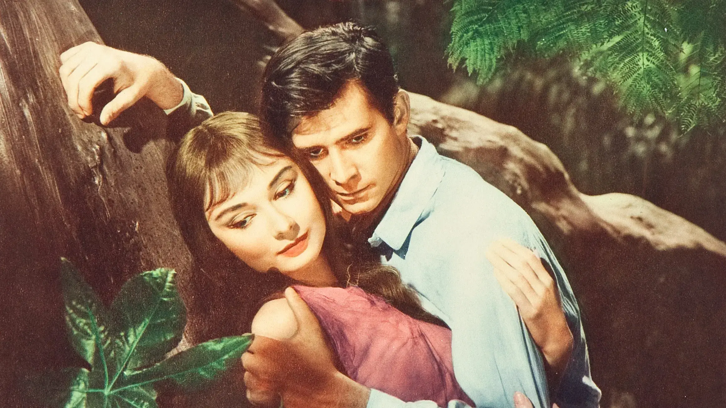 A Flor Que Não Morreu