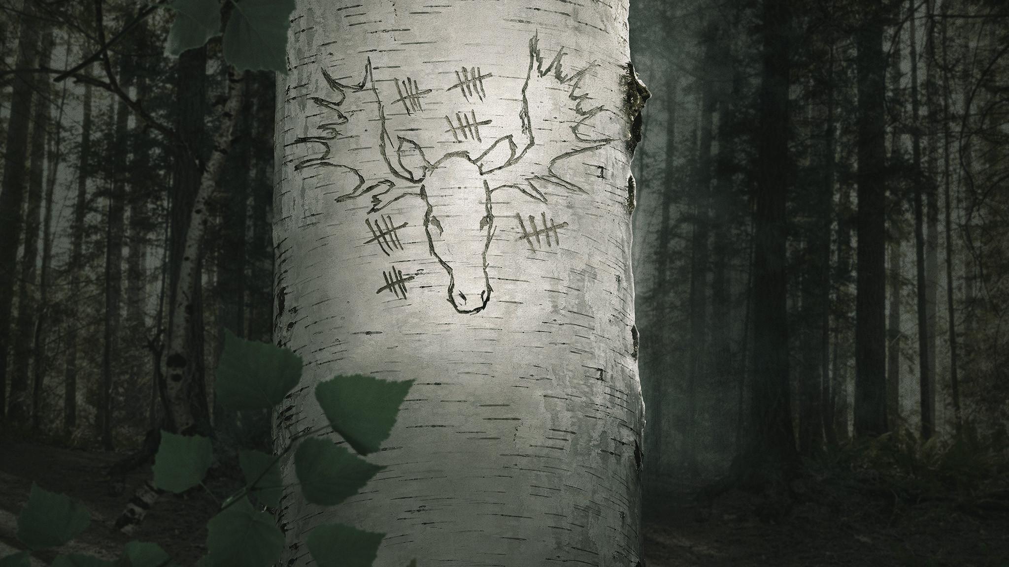 Sozinhos: Sobrevivência Animal