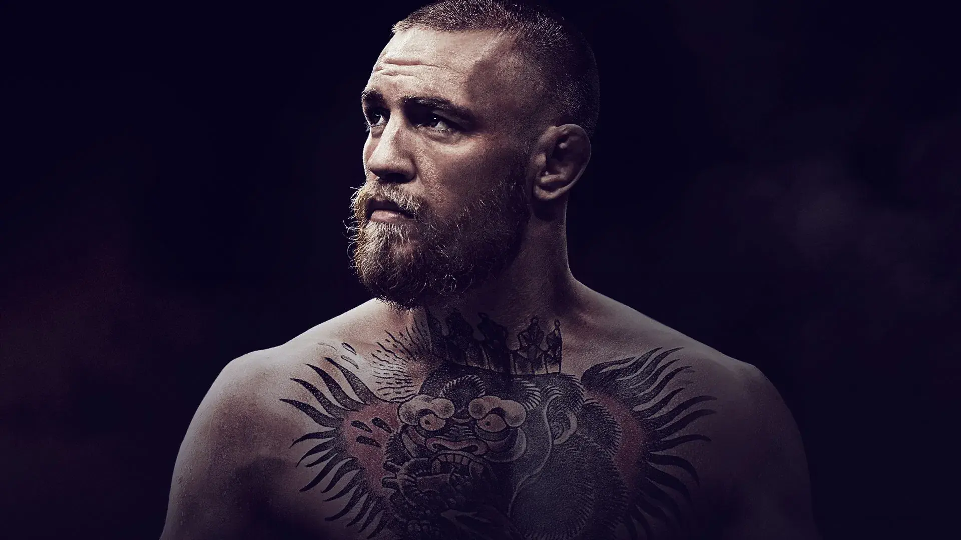 Conor McGregor: Tudo Pelo Título