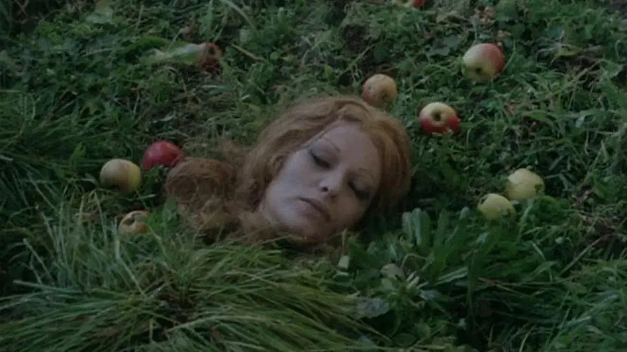 A Sanguessuga Conduz a Dança