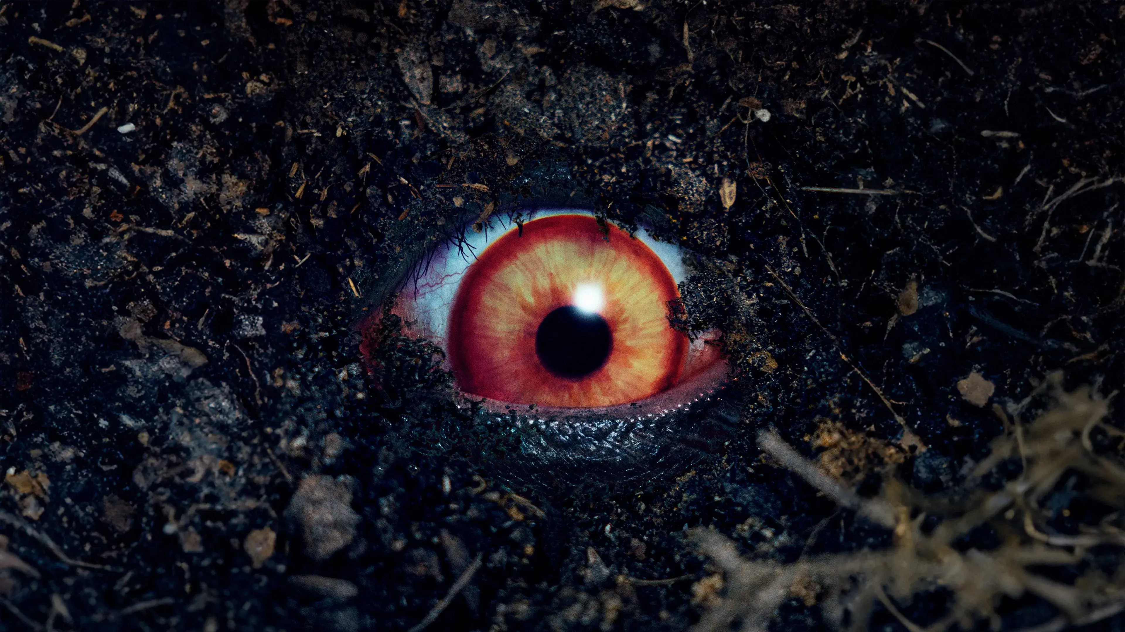 A Última Invocação