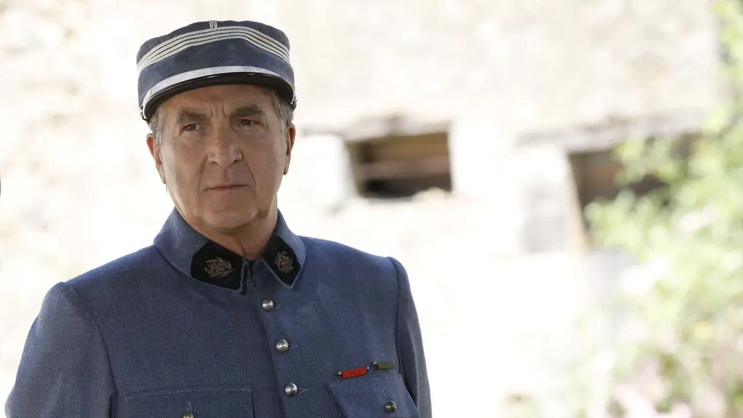 Como Cães de Guerra