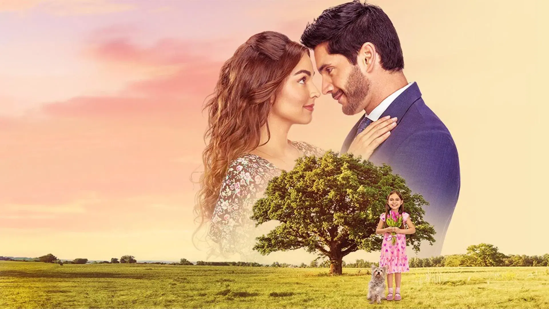 O Amor não tem Receita