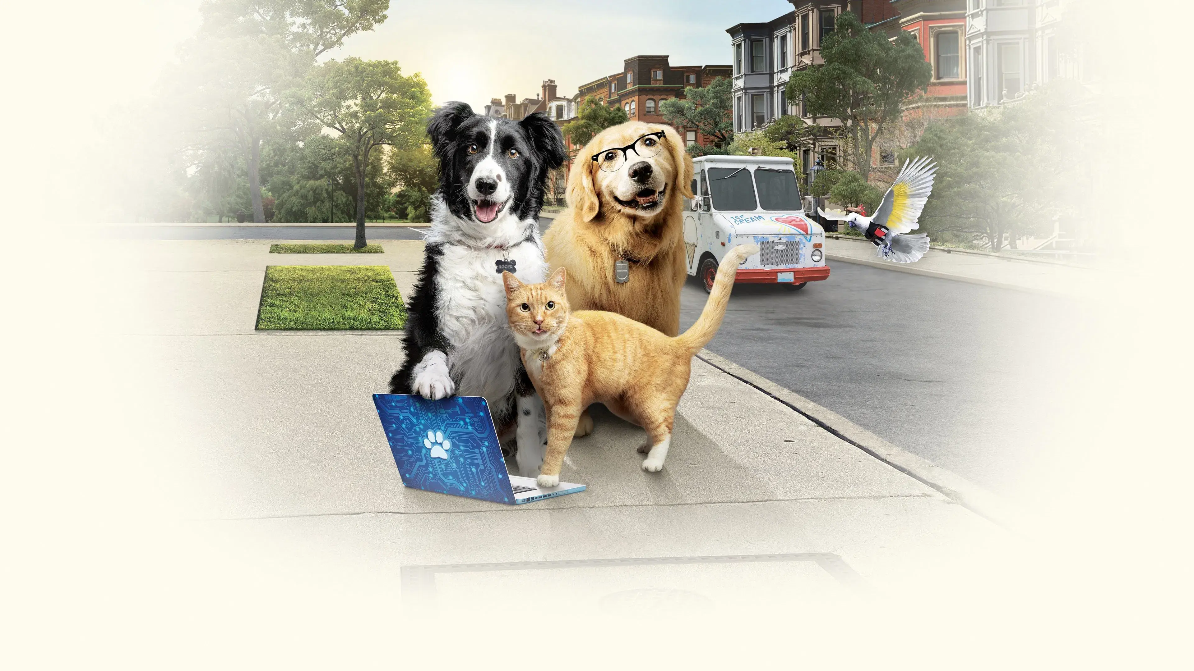 Como Cães e Gatos 3 - Peludos Unidos