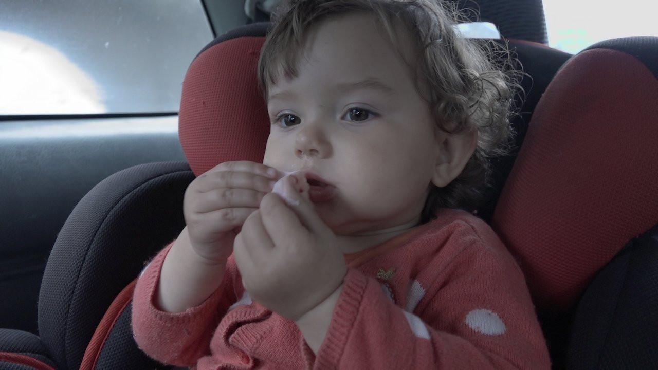 Notas Para Um Filme Sobre Assaltos