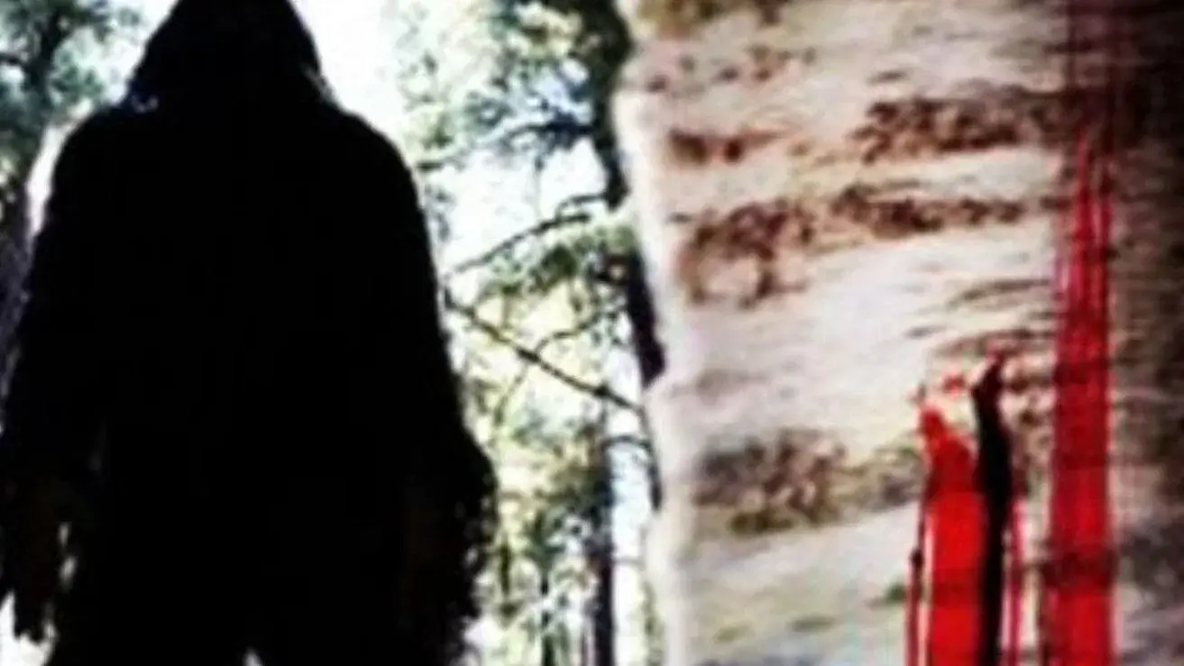 O Demônio da Montanha