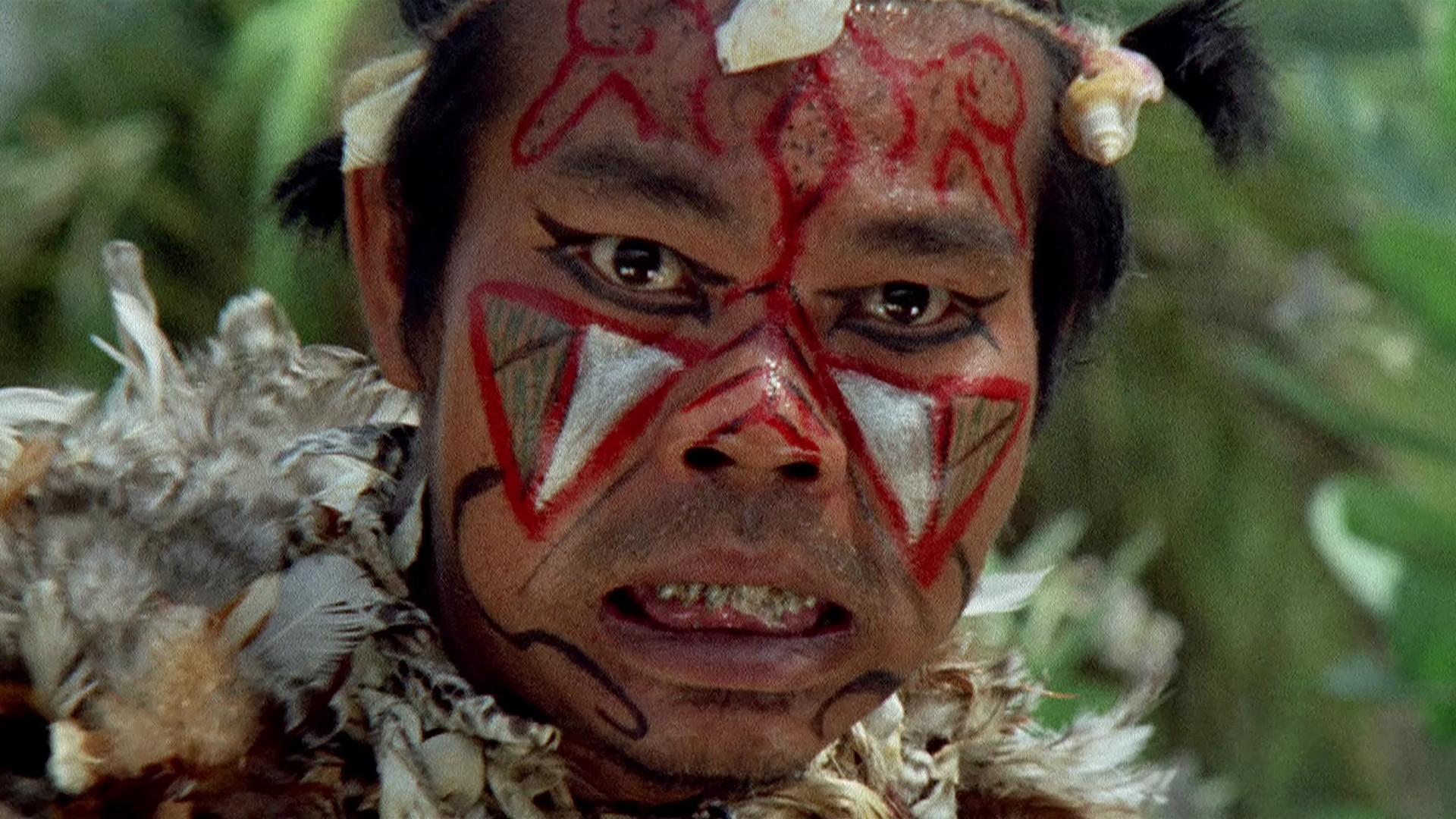 Il paese del sesso selvaggio