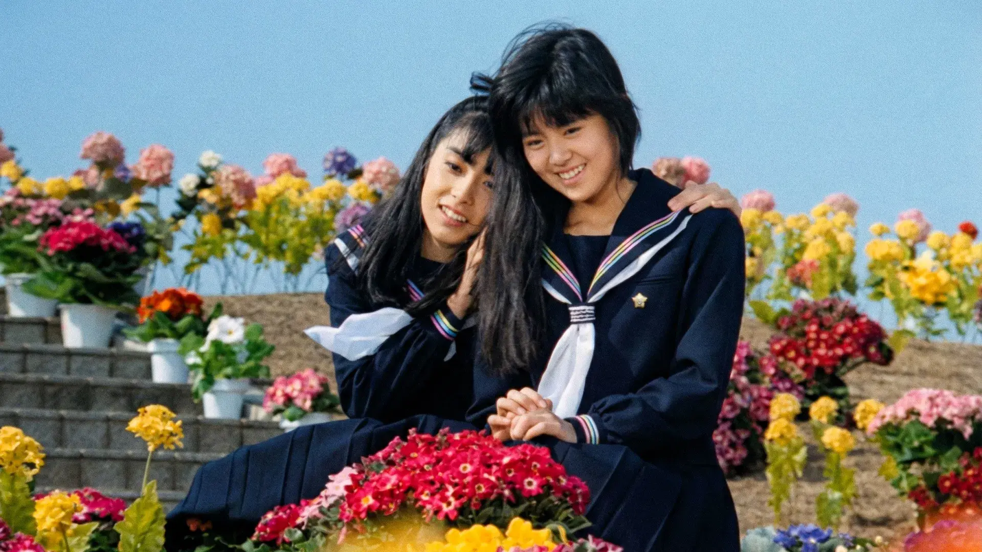 アリエスの乙女たち