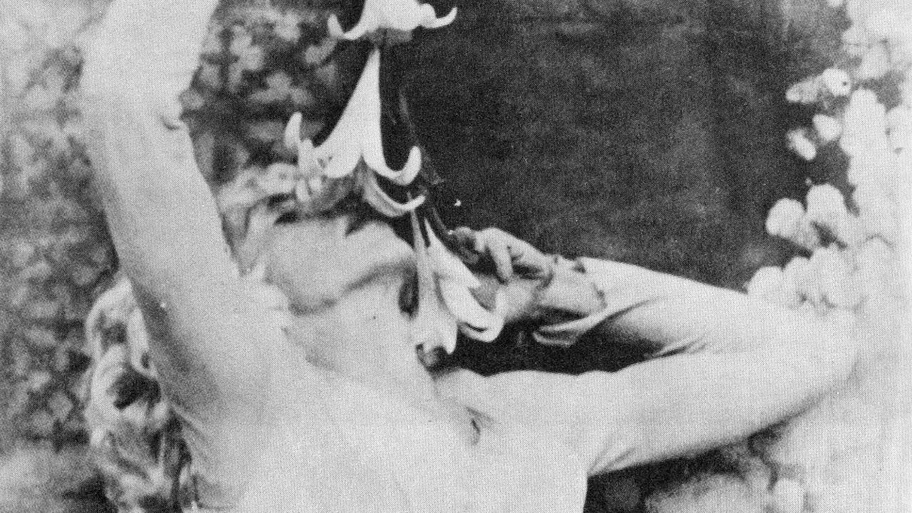 Criaturas Flamejantes