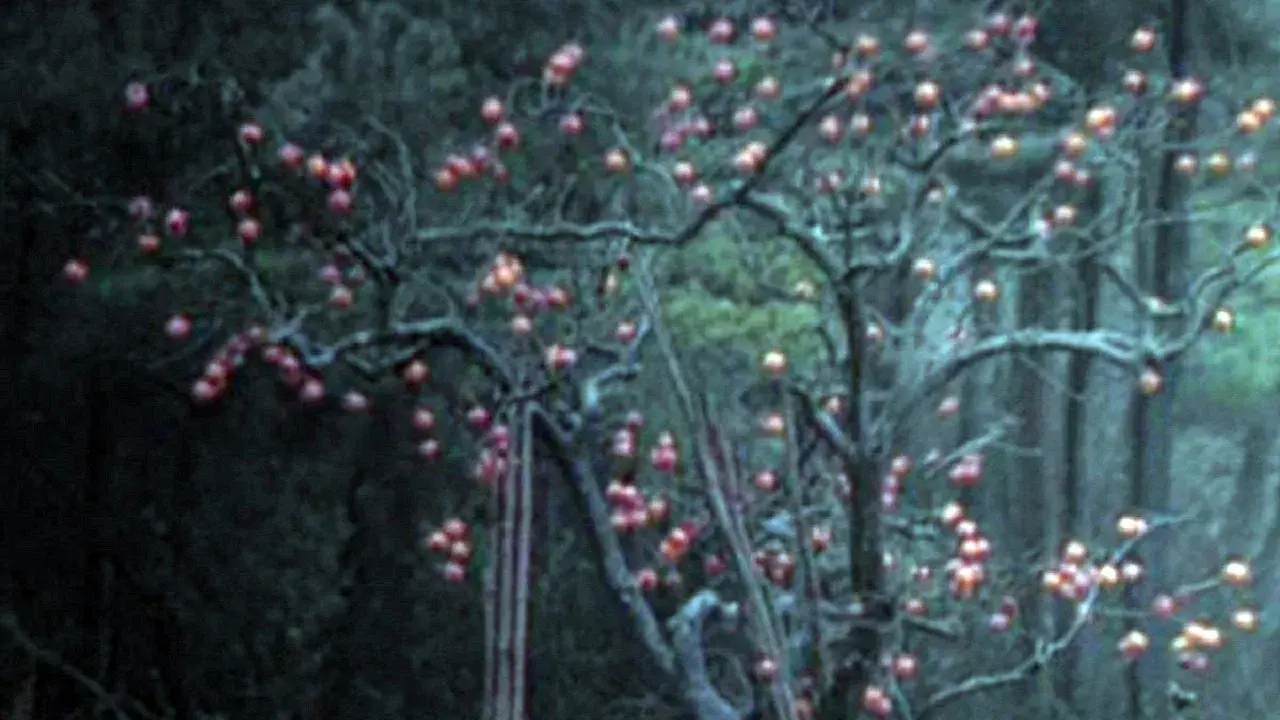 Elegia de uma Viagem