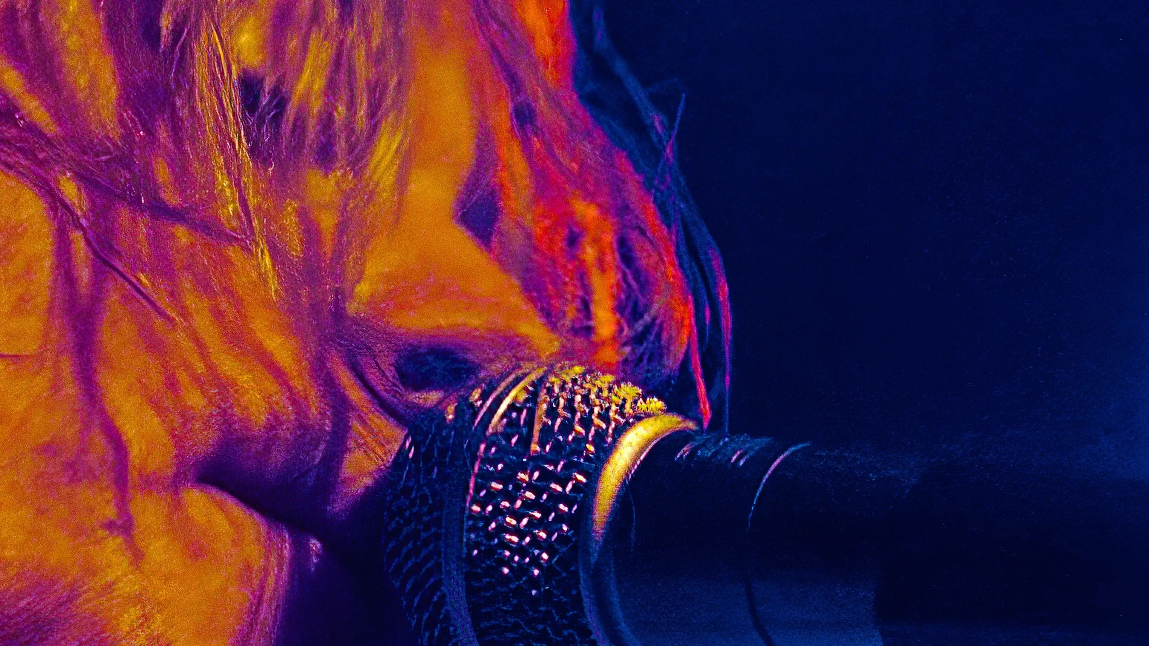 Rock N' Roll:  Vivendo no Limite