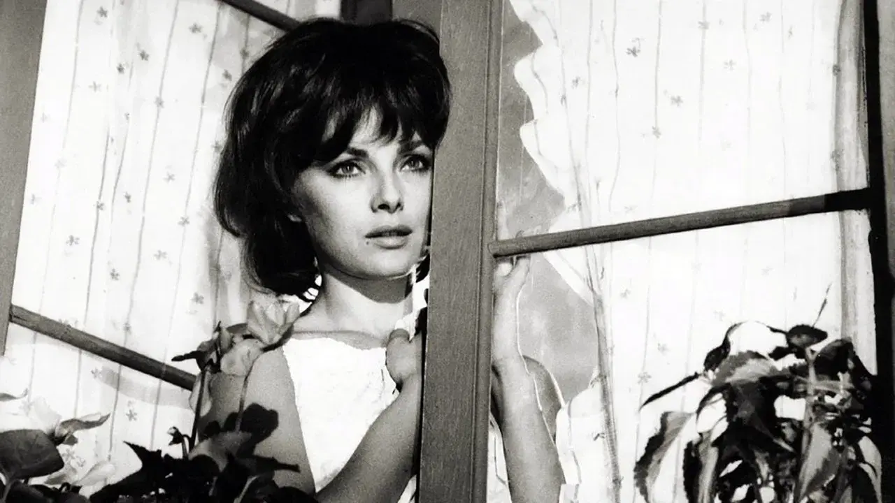 Confusões à Italiana