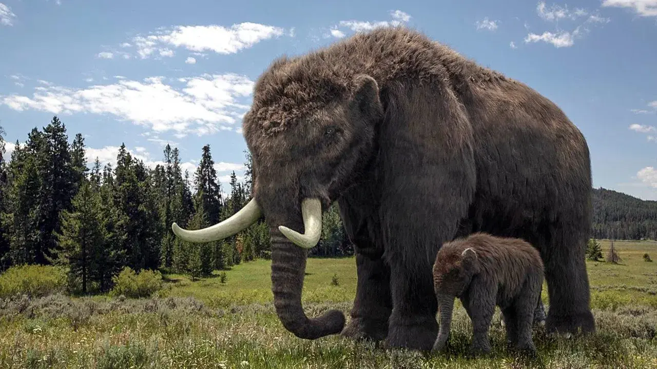Gigantes da Era do Gelo