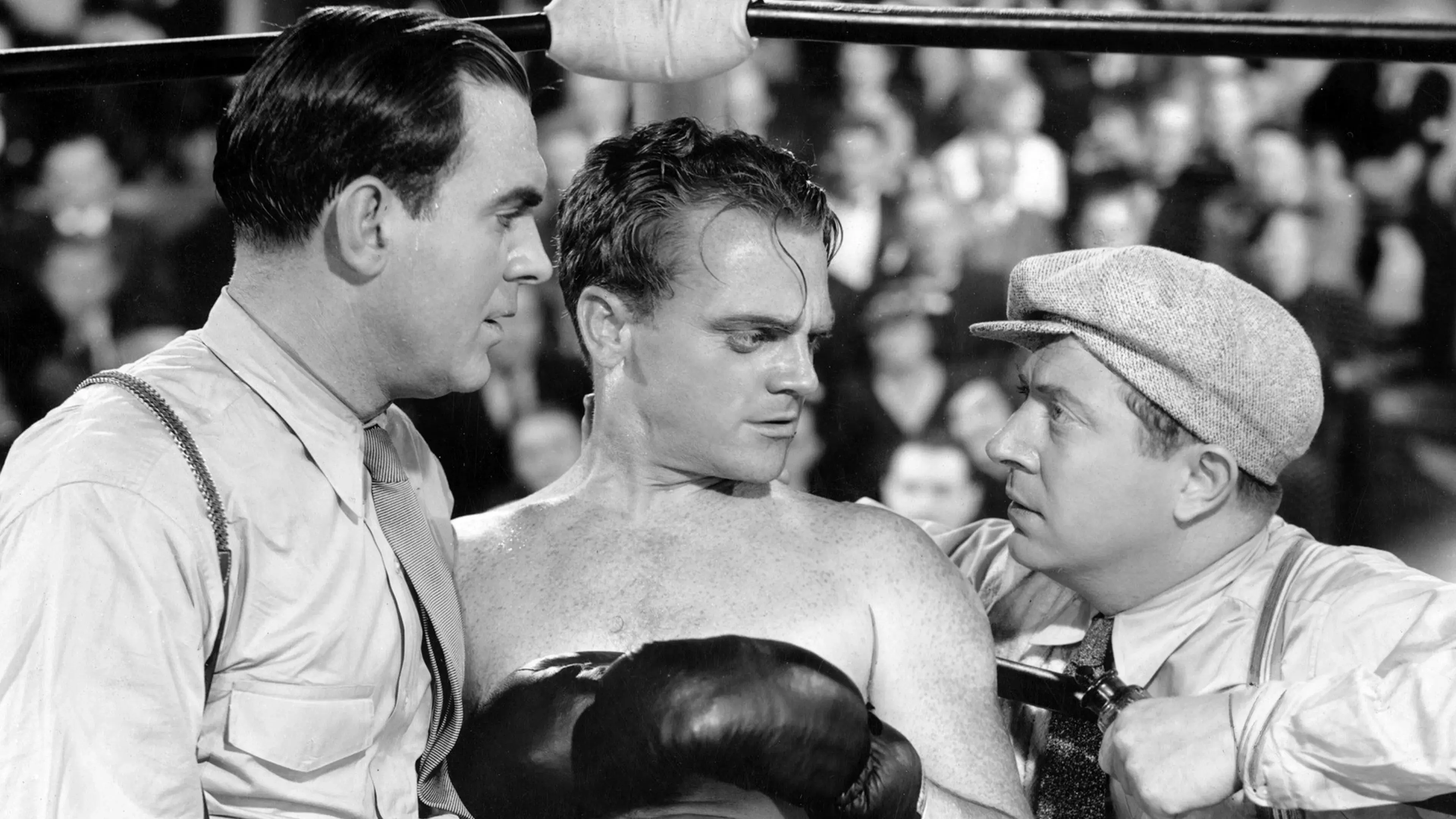 O Filhinho da Mamãe