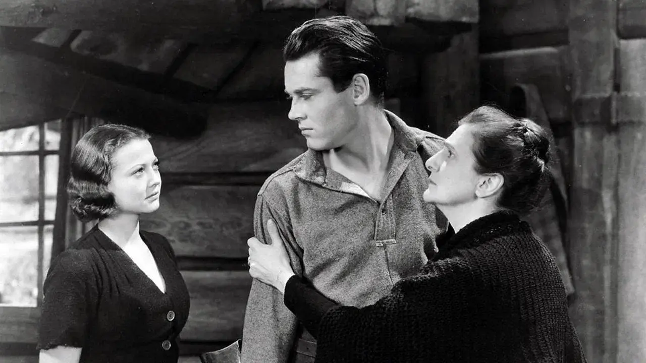 Amor e Ódio na Floresta