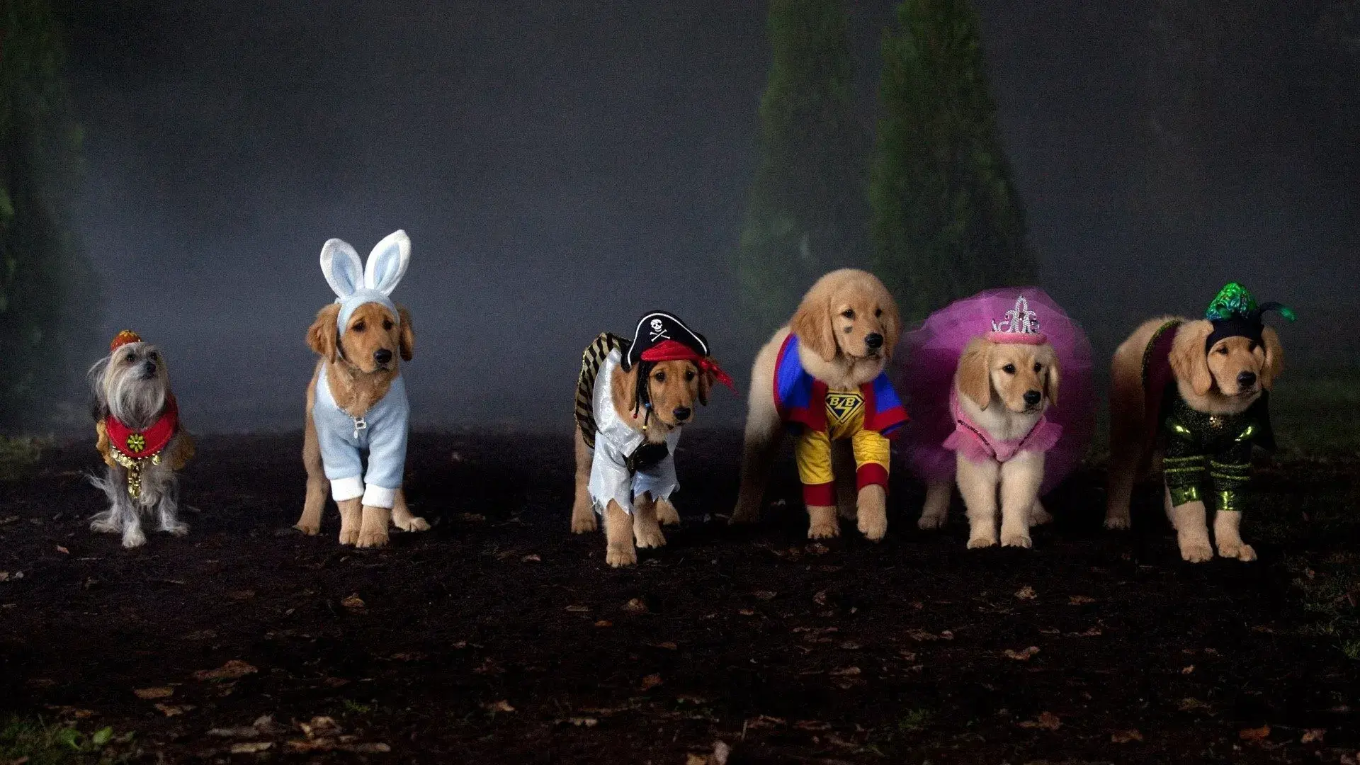 Spooky Buddies: A Casa Mal-Assombrada