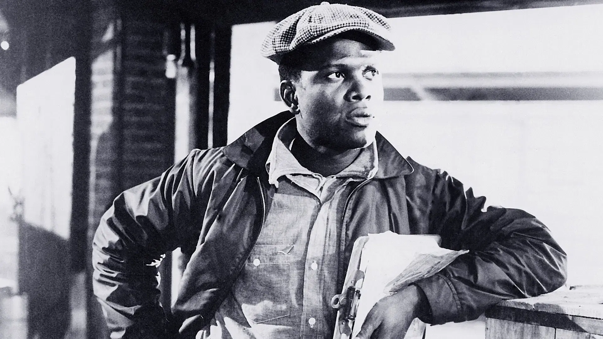 Um Homem Tem Três Metros de Altura