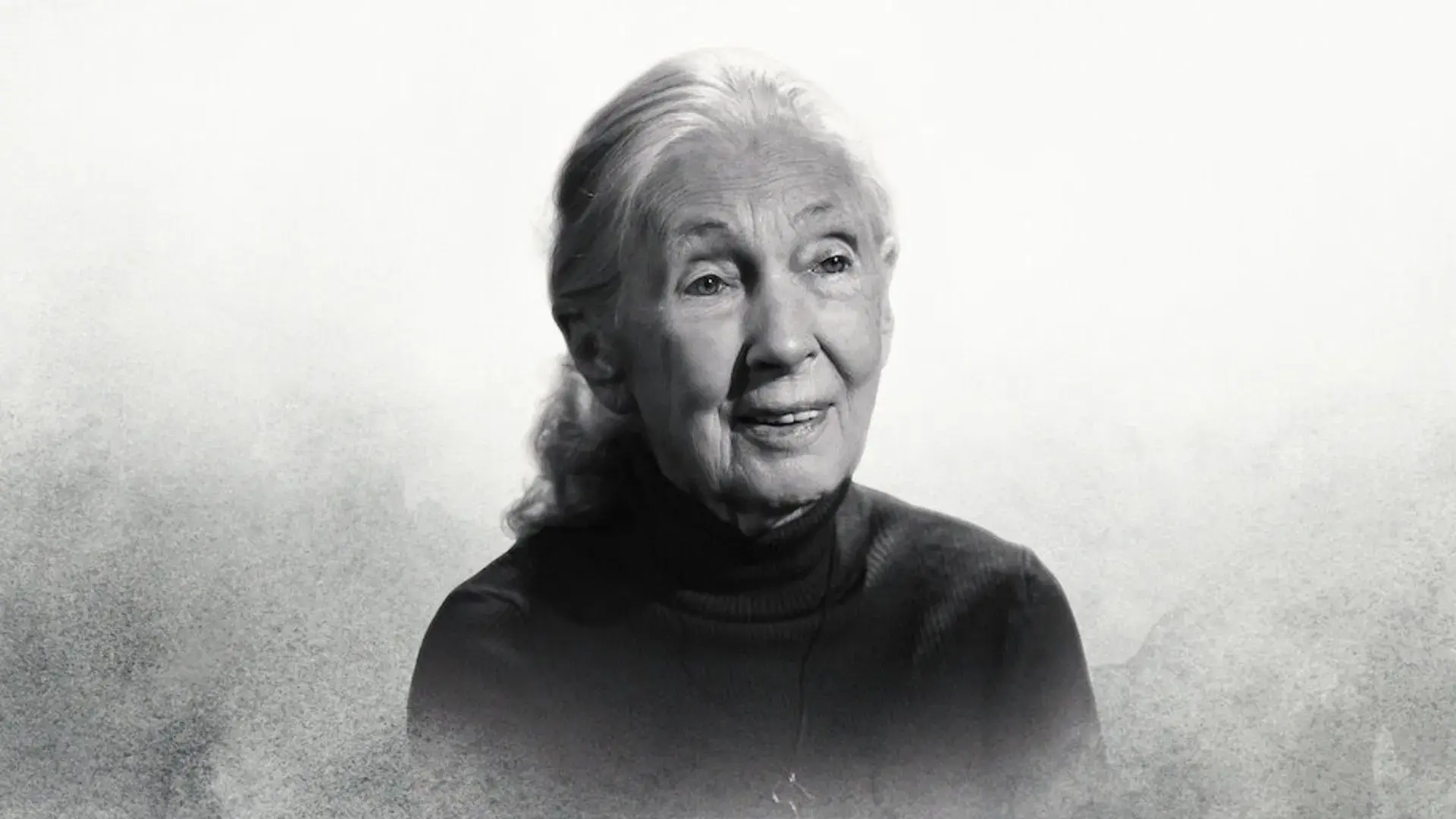 Dra. Jane Goodall: Últimas Palavras