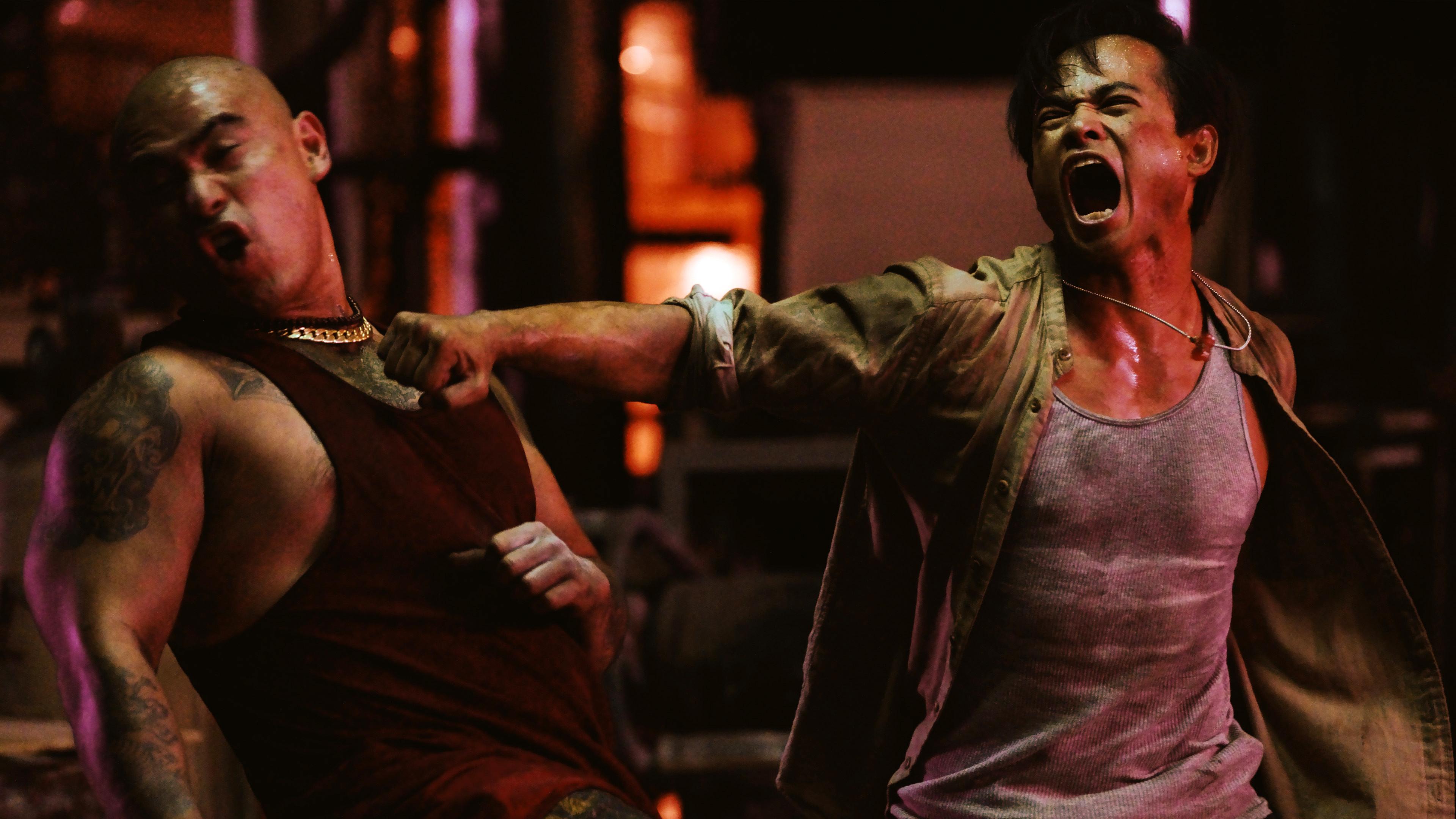 Artes Marciais em Ação