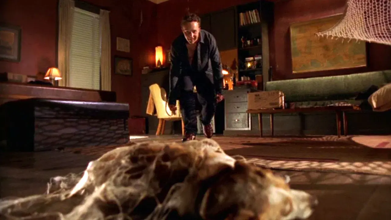 A Maldição da Aranha