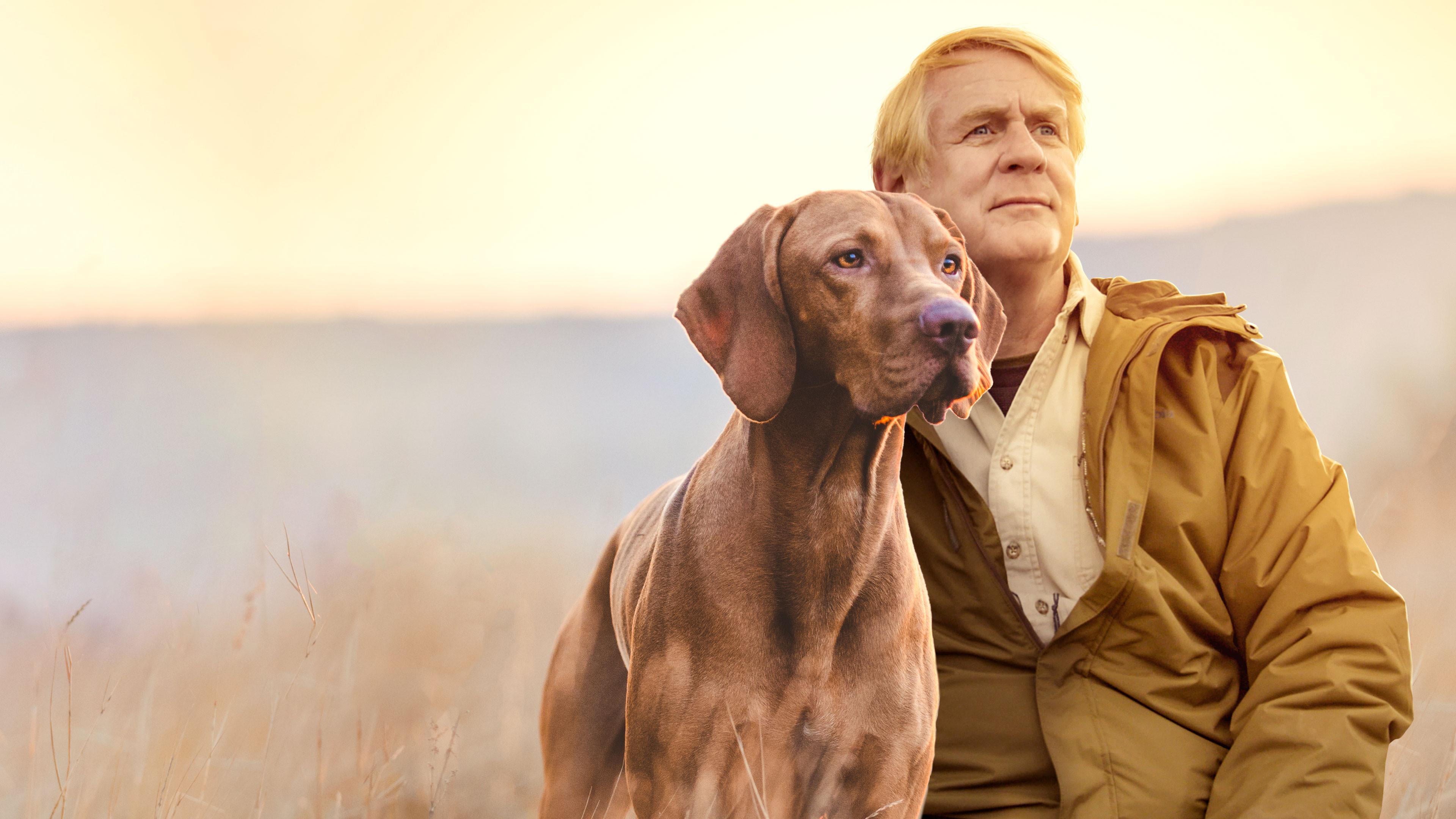 É Uma Vida de Cão, com Bill Farmer