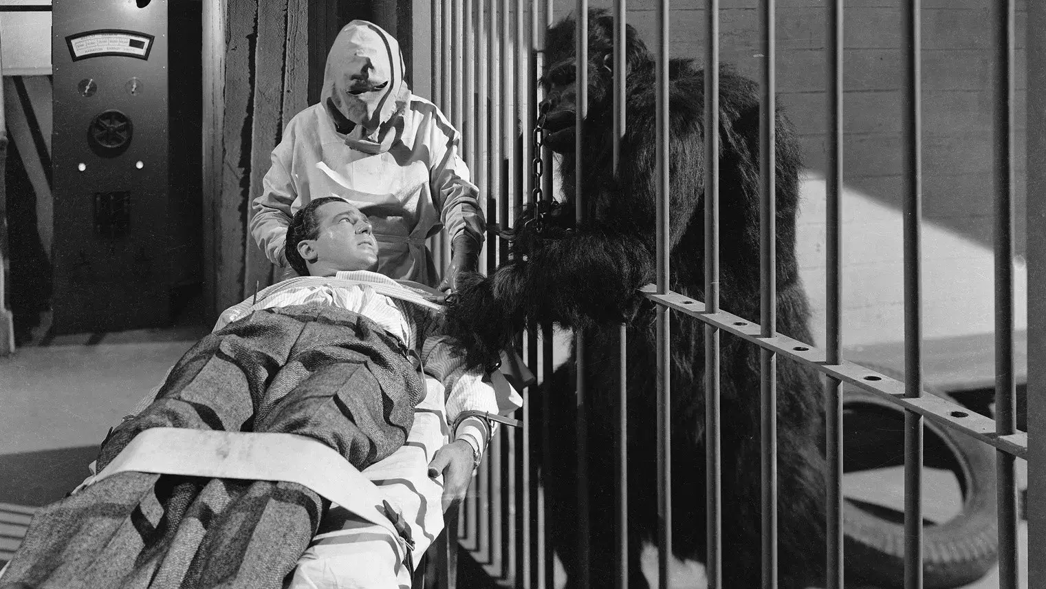 O Fatídico Caso do Doutor Rx