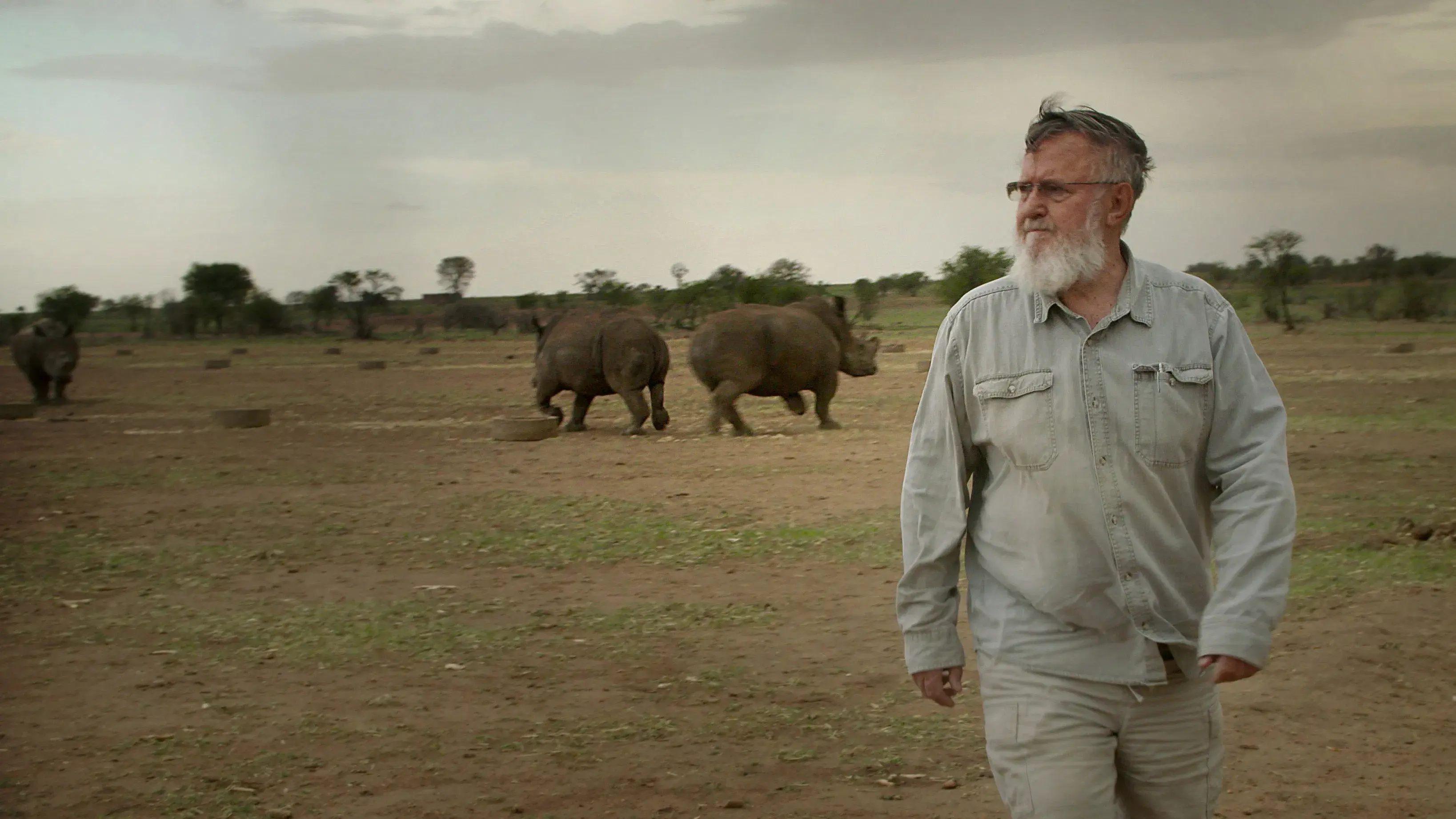 Troféu - O Preço Da Sobrevivência