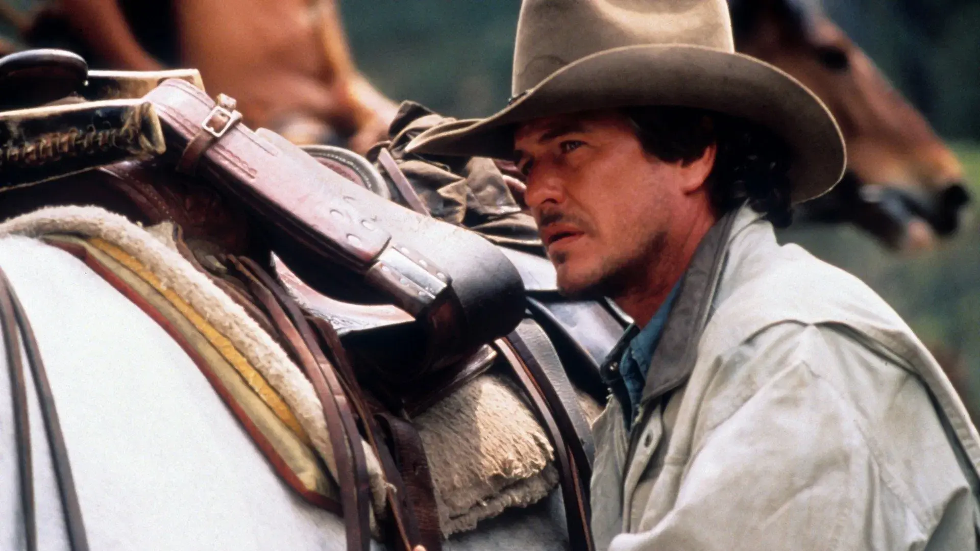 O Último dos Bravos