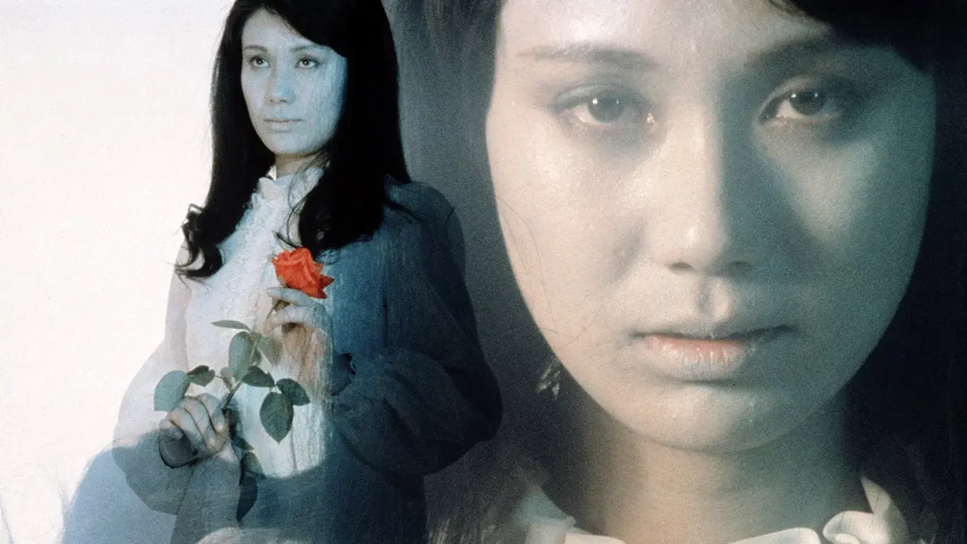 A Maldição de Drácula