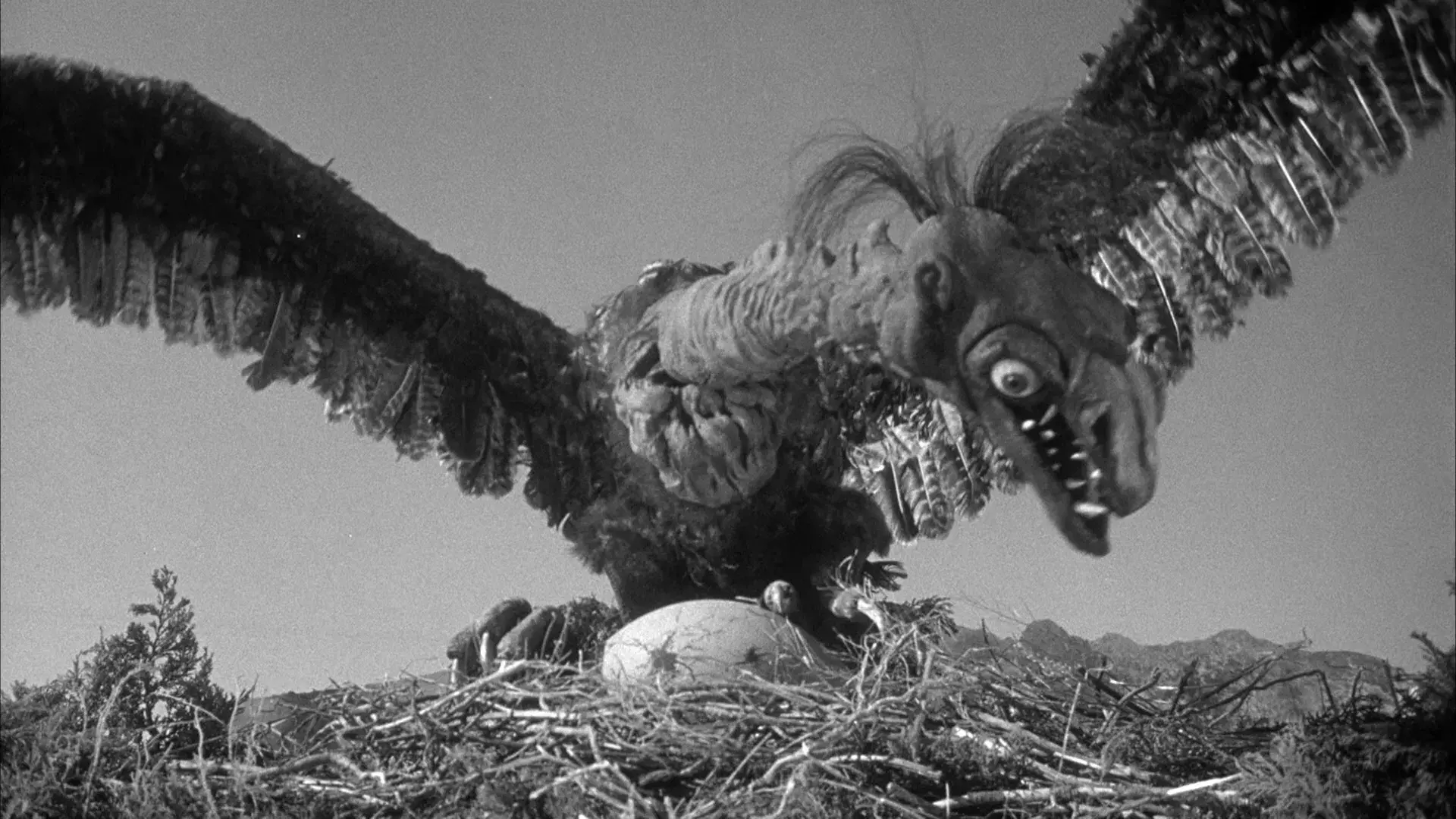 O Ataque Vem do Pólo