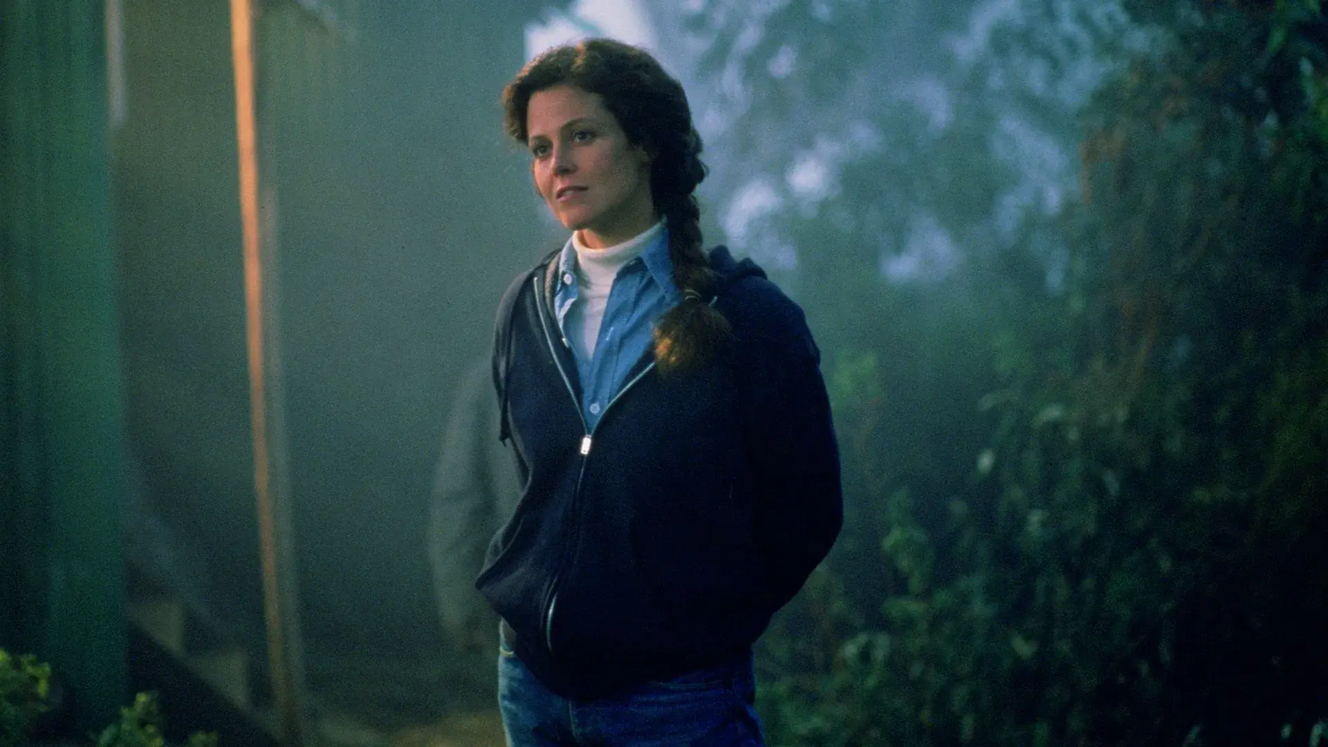 Nas Montanhas dos Gorilas