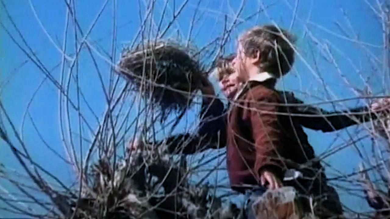 Ангелочек, сделай радость