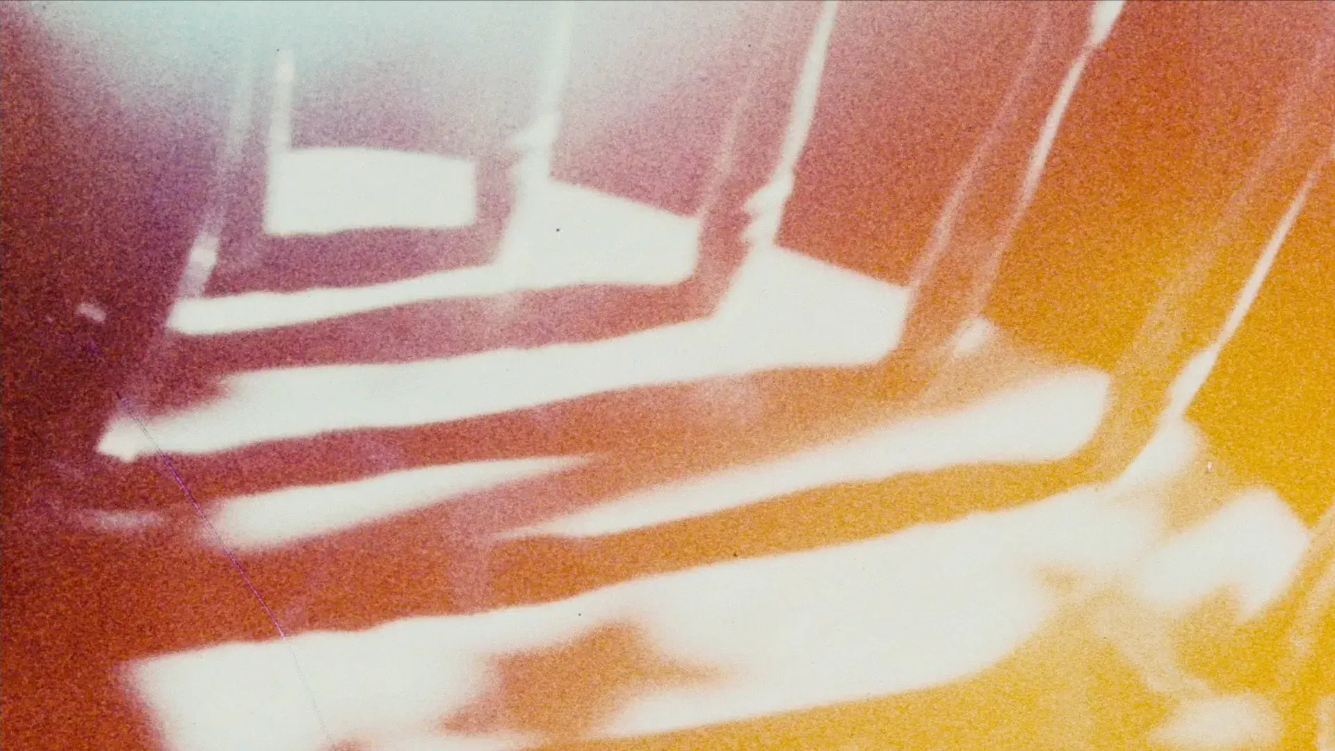 Looking for Mushrooms